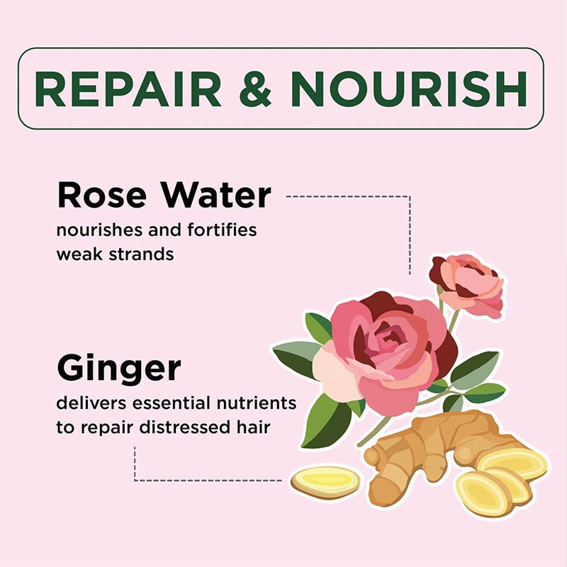 Petalfresh PURE Ginger & Rosewater Shampoo & Conditioner