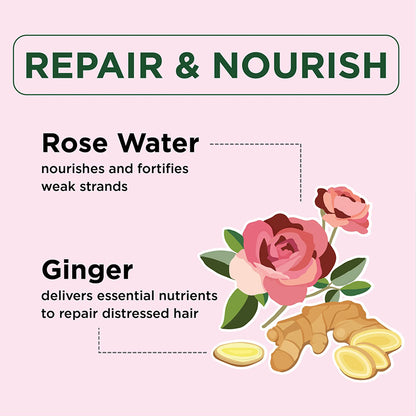 Petalfresh PURE Ginger & Rosewater Shampoo & Conditioner