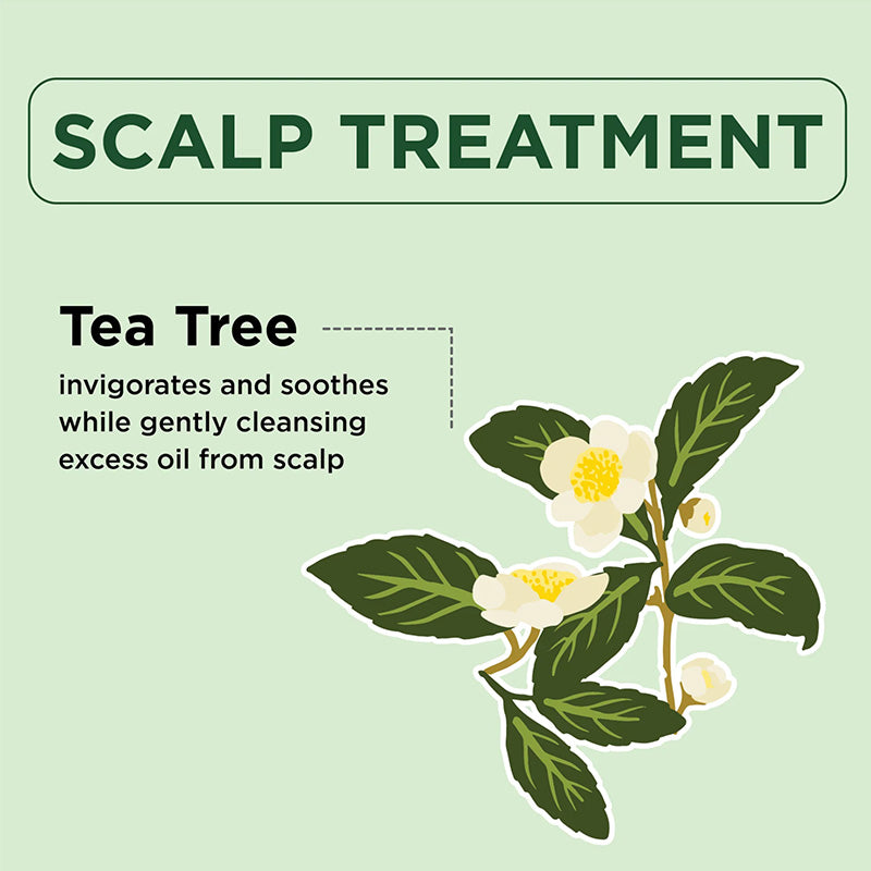 Petalfresh PURE Tea Tree Shampoo Conditioner