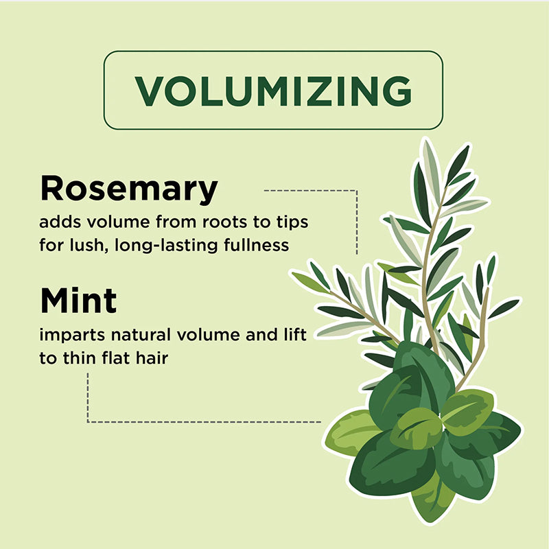 Petalfresh PURE Rosemary & Mint Shampoo  Conditioner  Body Wash