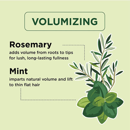 Petalfresh PURE Rosemary & Mint Shampoo  Conditioner  Body Wash